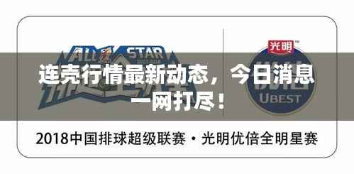 连壳行情最新动态,今日消息一网打尽!