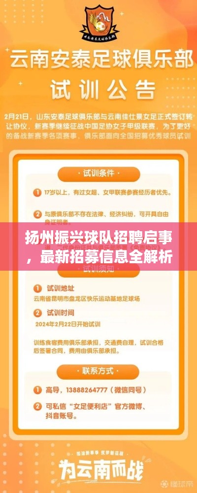 夭桃秾李 第4页