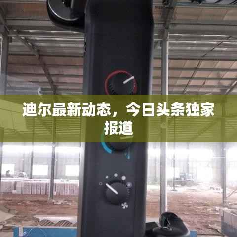 迪尔最新动态,今日头条独家报道