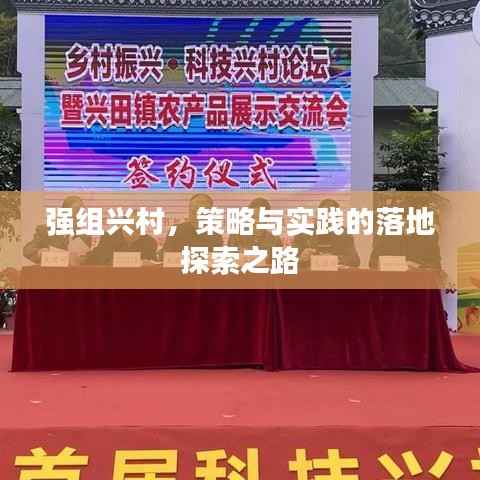 强组兴村，策略与实践的落地探索之路