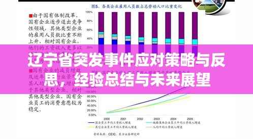 辽宁省突发事件应对策略与反思,经验总结与未来展望