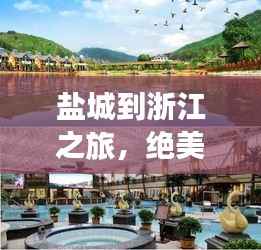 盐城到浙江之旅，绝美景点与独特美食一网打尽！