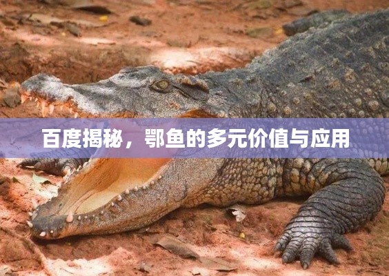 矢志不渝 第4页