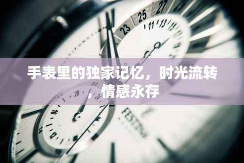 手表里的独家记忆,时光流转,情感永存