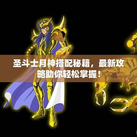 圣斗士月神搭配秘籍,最新攻略助你轻松掌握!