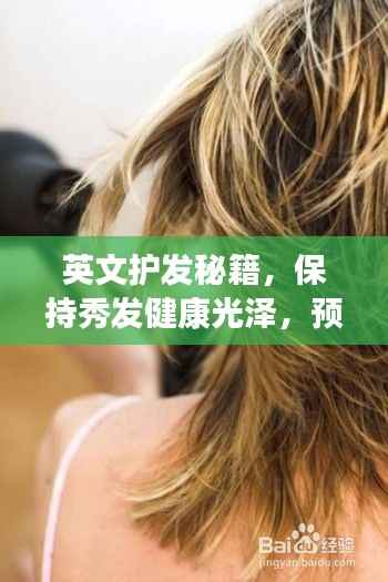 英文护发秘籍,保持秀发健康光泽,预防断发小技巧