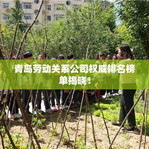青岛劳动关系公司权威排名榜单揭晓!