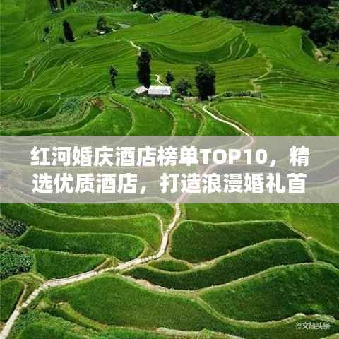 红河婚庆酒店榜单TOP10，精选优质酒店，打造浪漫婚礼首选地！