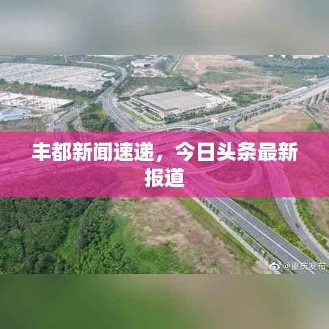 丰都新闻速递,今日头条最新报道