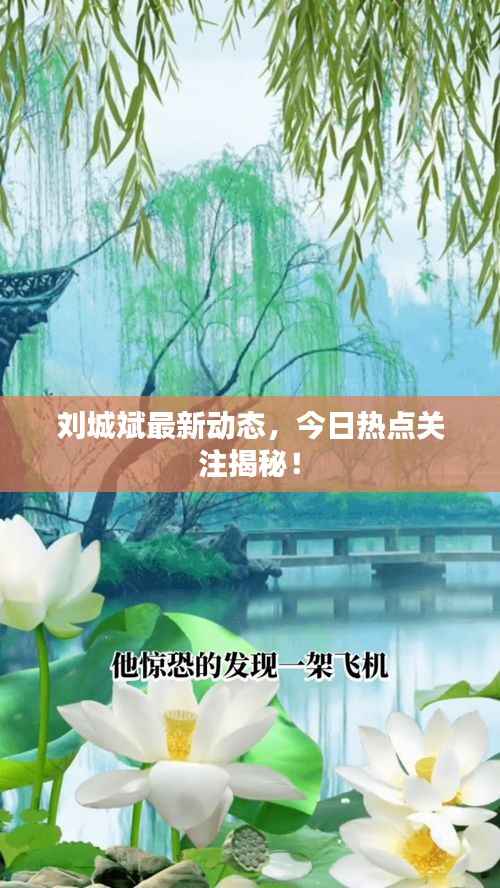 刘城斌最新动态,今日热点关注揭秘!