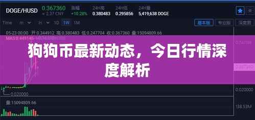 狗狗币最新动态,今日行情深度解析