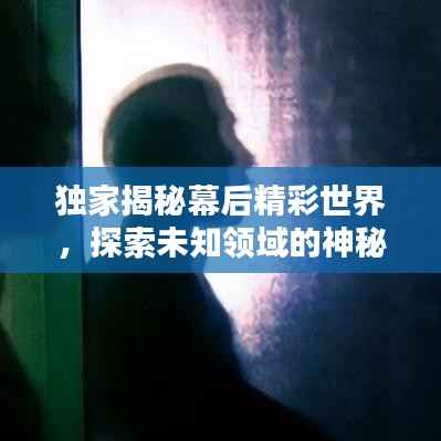 独家揭秘幕后精彩世界,探索未知领域的神秘面纱