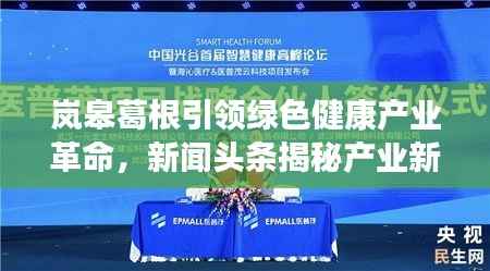 岚皋葛根引领绿色健康产业革命，新闻头条揭秘产业新动向