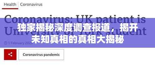 独家揭秘深度调查报道,揭开未知真相的真相大揭秘