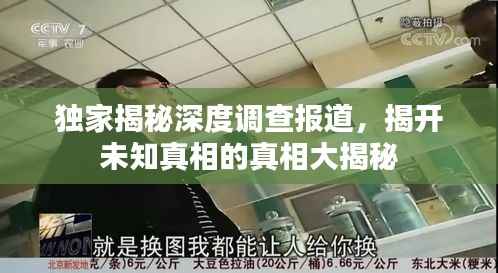 独家揭秘深度调查报道,揭开未知真相的真相大揭秘