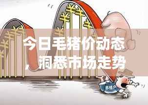 今日毛猪价动态，洞悉市场走势，理性应对猪肉市场波动