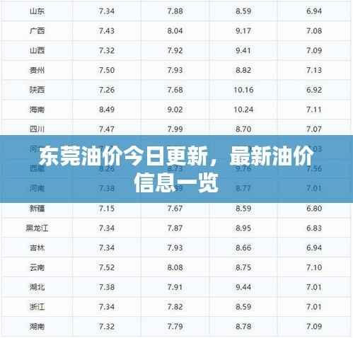 东莞油价今日更新,最新油价信息一览