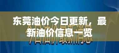 东莞油价今日更新,最新油价信息一览