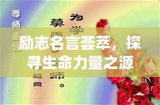 励志名言荟萃,探寻生命力量之源