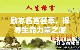 励志名言荟萃,探寻生命力量之源