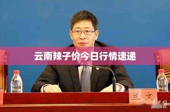 云南辣子价今日行情速递