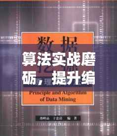 算法实战磨砺,提升编程能力,开启技能进阶之路