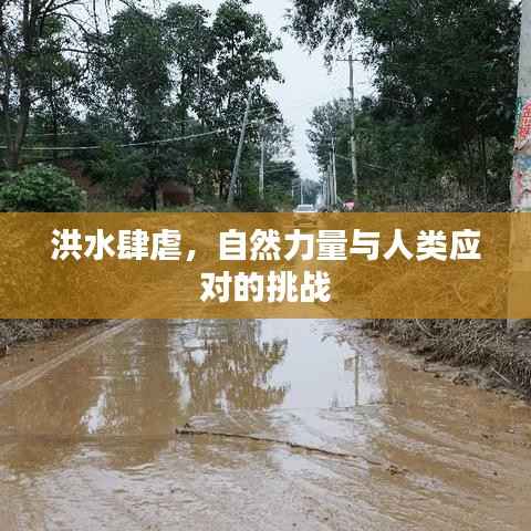 洪水肆虐,自然力量与人类应对的挑战