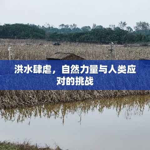 洪水肆虐,自然力量与人类应对的挑战