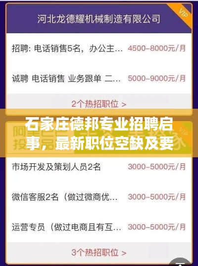 石家庄德邦专业招聘启事,最新职位空缺及要求一网打尽!