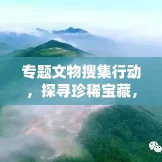 专题文物搜集行动,探寻珍稀宝藏,传承历史记忆