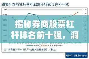 揭秘券商股票杠杆排名前十强，洞悉金融市场力量分布格局！