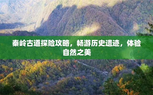 秦岭古道探险攻略,畅游历史遗迹,体验自然之美