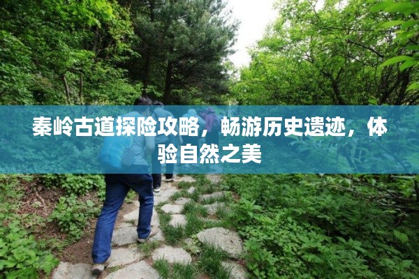 秦岭古道探险攻略,畅游历史遗迹,体验自然之美
