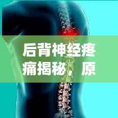 后背神经疼痛揭秘，原因、症状及治疗方法全解析