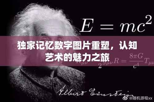 独家记忆数字图片重塑,认知艺术的魅力之旅