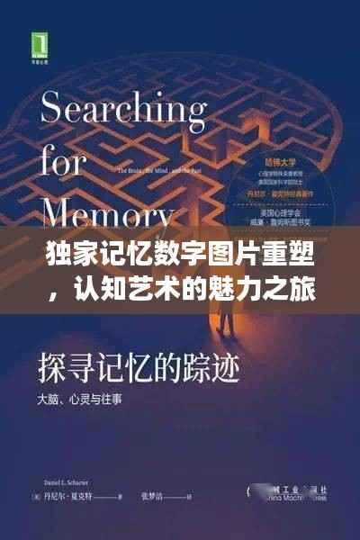 独家记忆数字图片重塑,认知艺术的魅力之旅