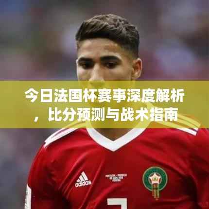今日法国杯赛事深度解析,比分预测与战术指南