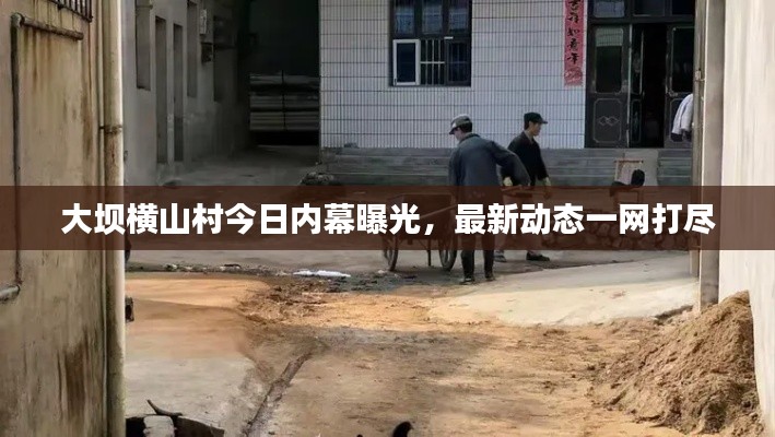 大坝横山村今日内幕曝光,最新动态一网打尽