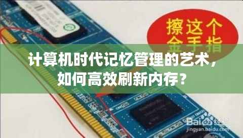 计算机时代记忆管理的艺术，如何高效刷新内存？