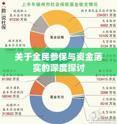 关于全民参保与资金落实的深度探讨