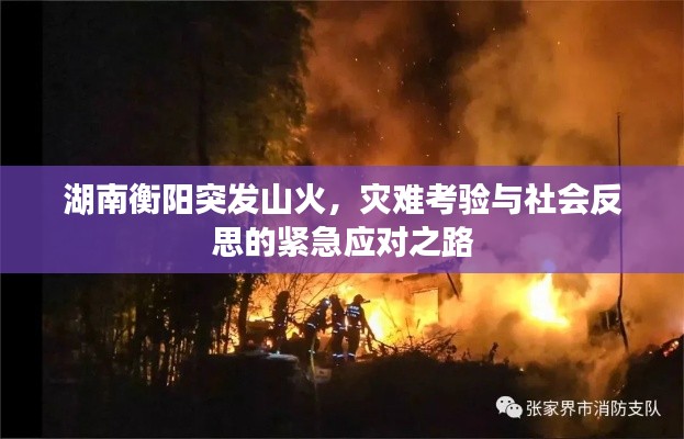 湖南衡阳突发山火，灾难考验与社会反思的紧急应对之路