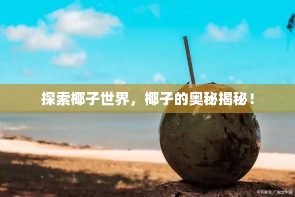 探索椰子世界,椰子的奥秘揭秘!