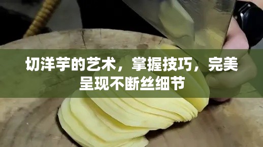 切洋芋的艺术，掌握技巧，完美呈现不断丝细节