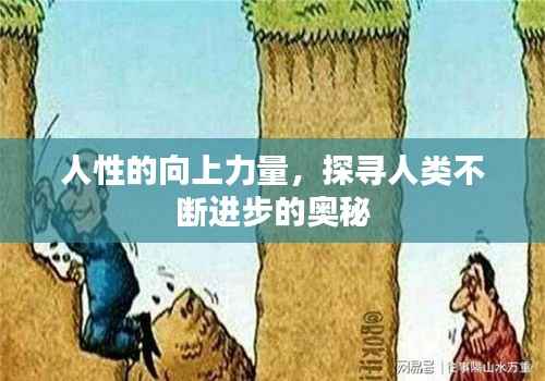 人性的向上力量,探寻人类不断进步的奥秘