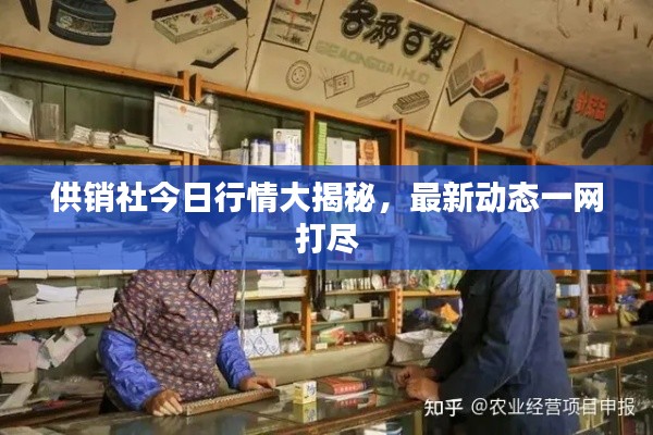 供销社今日行情大揭秘，最新动态一网打尽