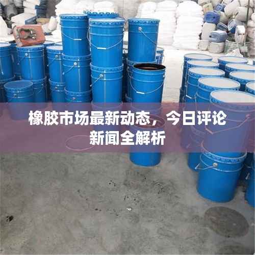 橡胶市场最新动态，今日评论新闻全解析