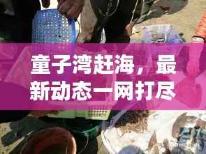 童子湾赶海，最新动态一网打尽！
