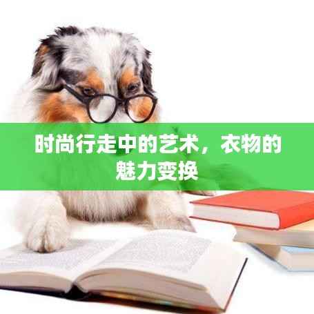 学贯中西 第4页