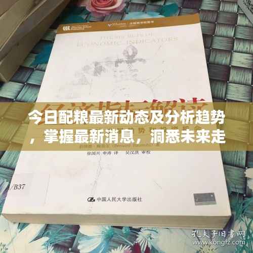今日配粮最新动态及分析趋势,掌握最新消息,洞悉未来走向