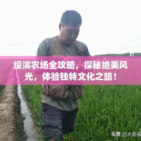 绥滨农场全攻略，探秘绝美风光，体验独特文化之旅！